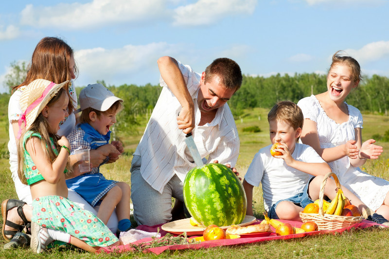 What to pack for a great family picnic?
